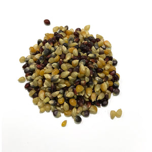 Flavorful Medley Popcorn Kernels - 6 lbs