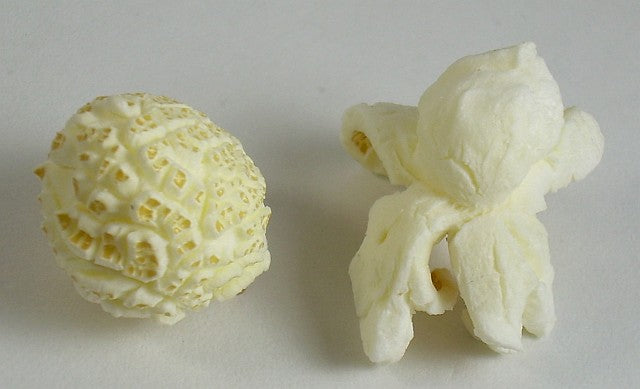 What’s the Difference Between Mushroom and Butterfly Popcorn?
