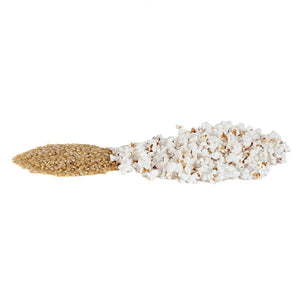 Gourmet White Hulless Popcorn Kernels - 2 lbs