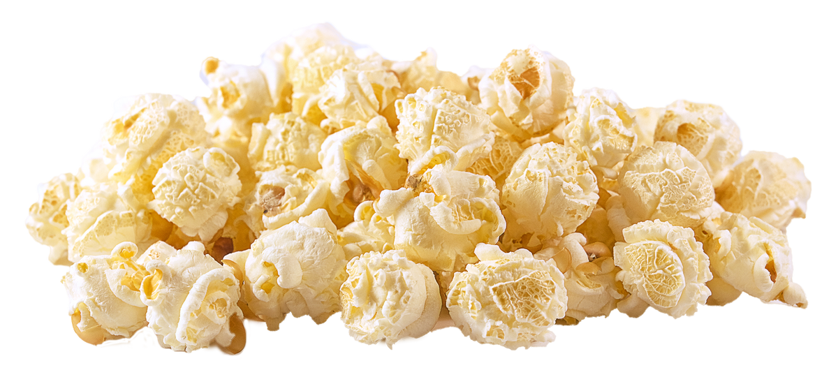 Gourmet Mushroom Brains Popcorn Kernels - 2 lbs